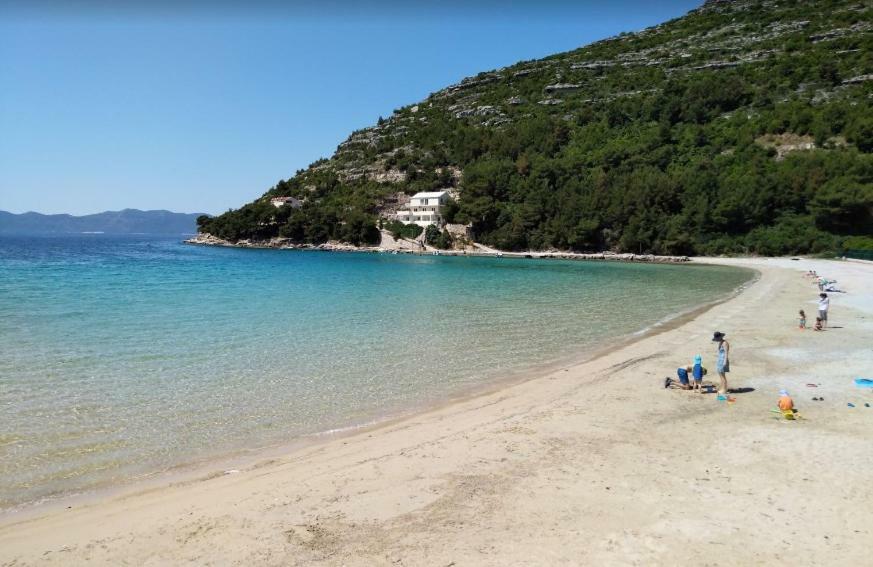Apartman Radic Ston Bagian luar foto